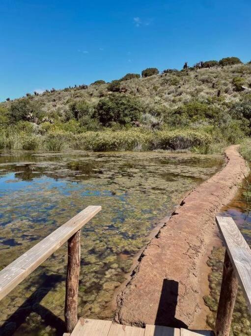 Owl Cottage - Living The Breede Malgas Εξωτερικό φωτογραφία